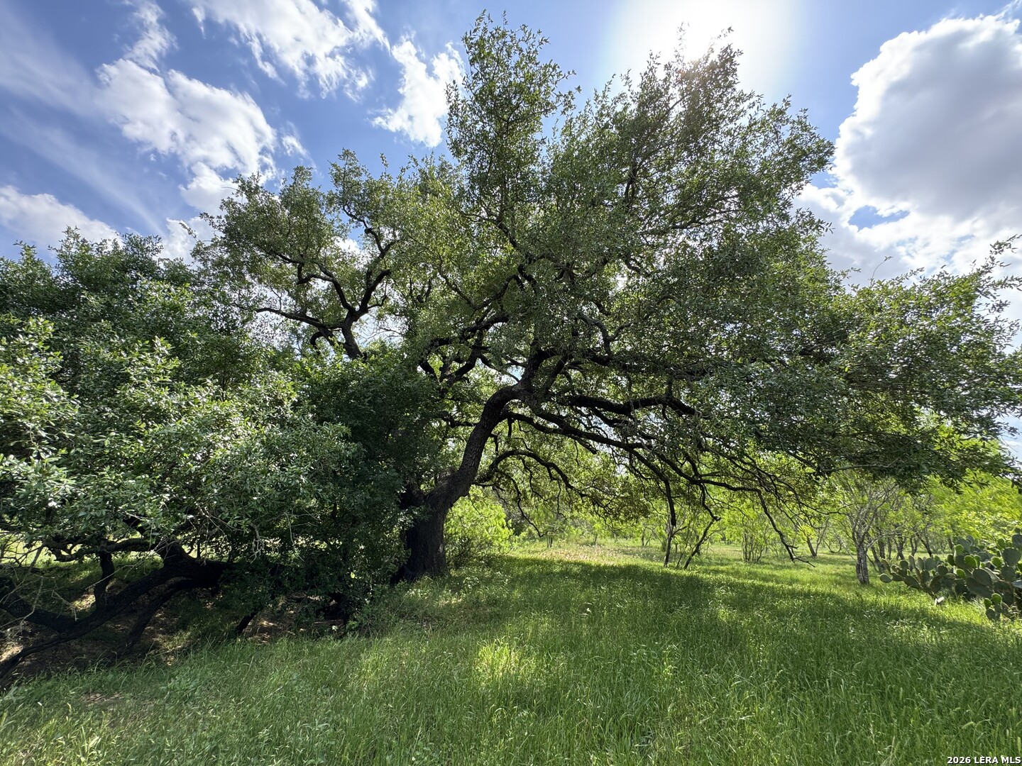1110 Hartfield Road Seguin TX 78155