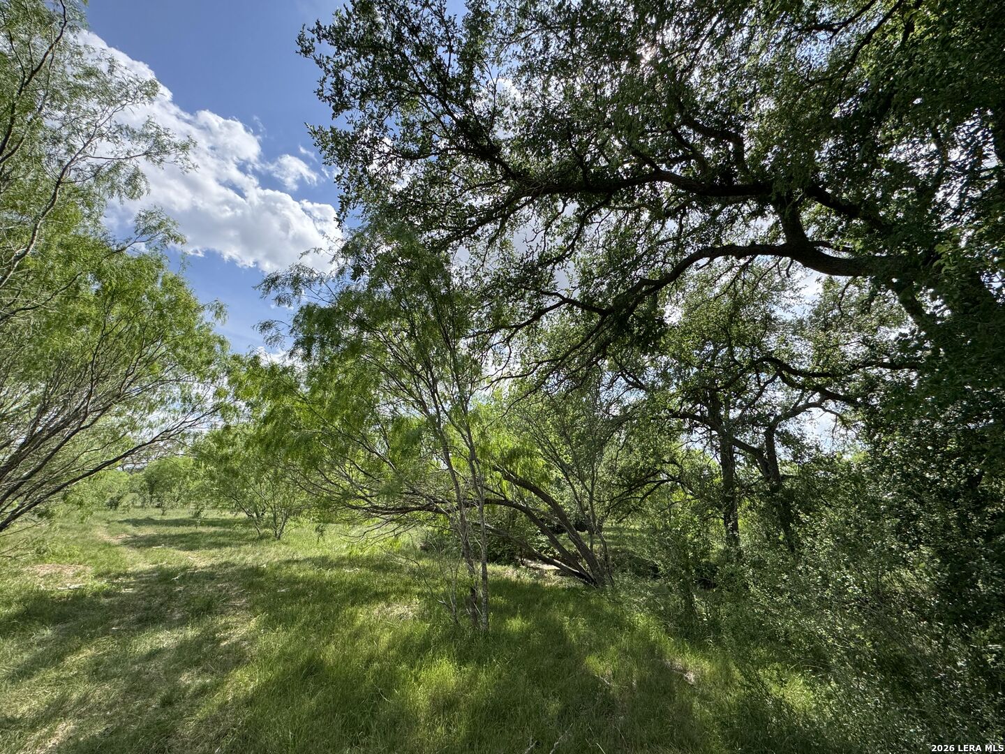 1110 Hartfield Road Seguin TX 78155