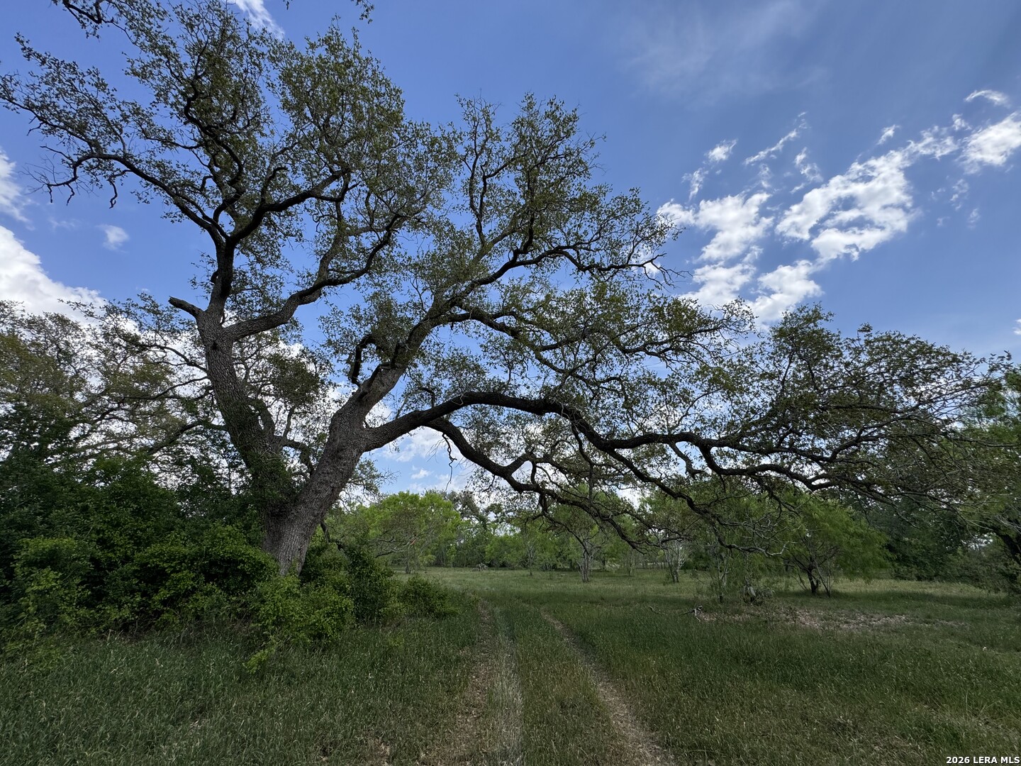 1110 Hartfield Road Seguin TX 78155