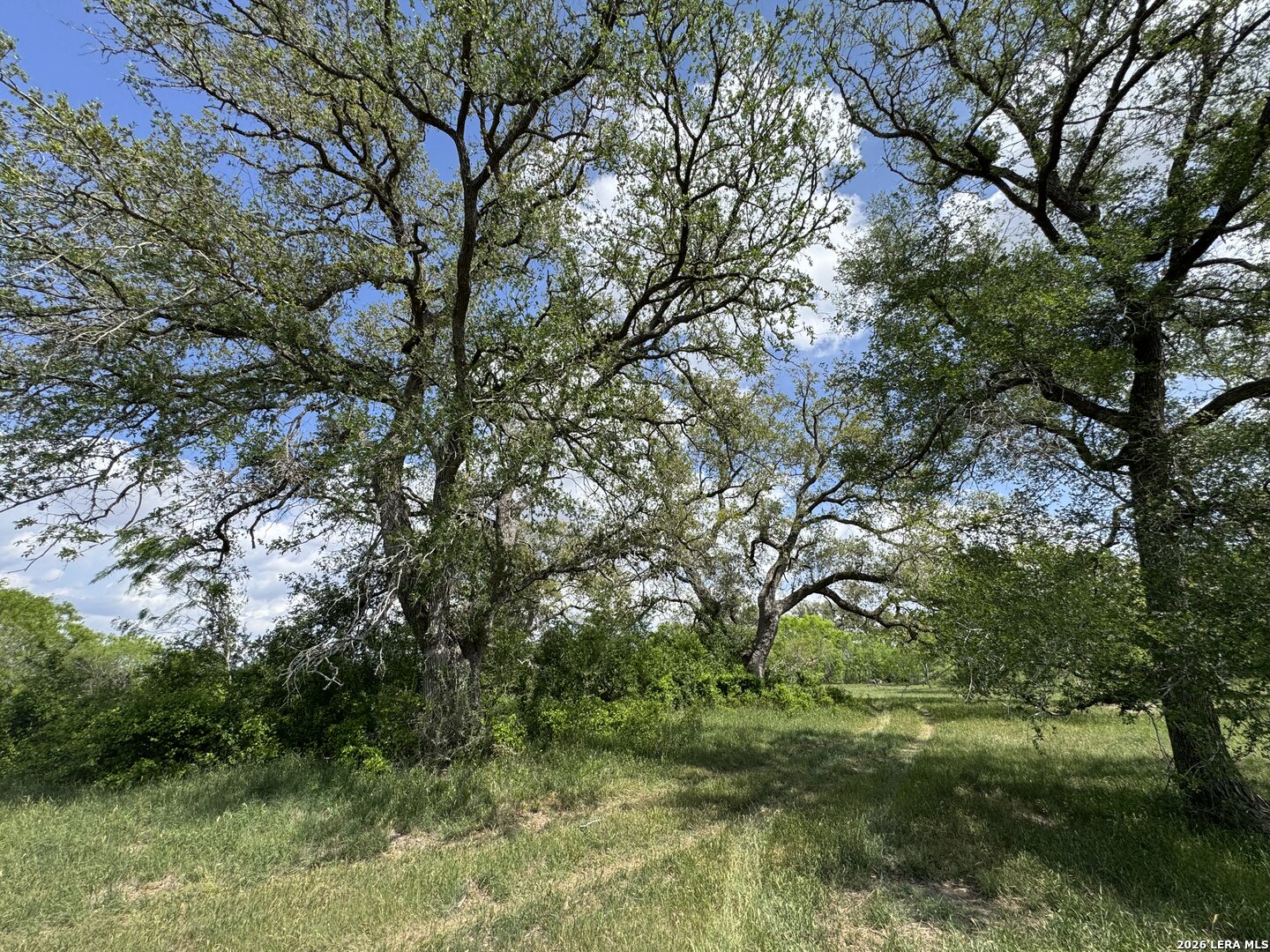 1110 Hartfield Road Seguin TX 78155