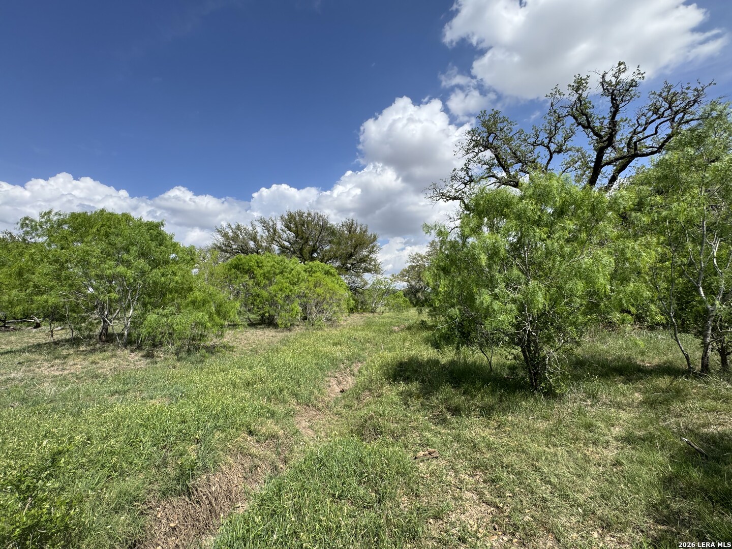 1110 Hartfield Road Seguin TX 78155