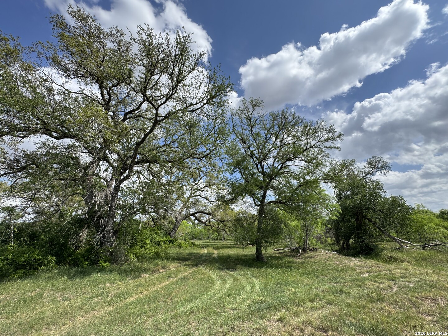 1110 Hartfield Road Seguin TX 78155
