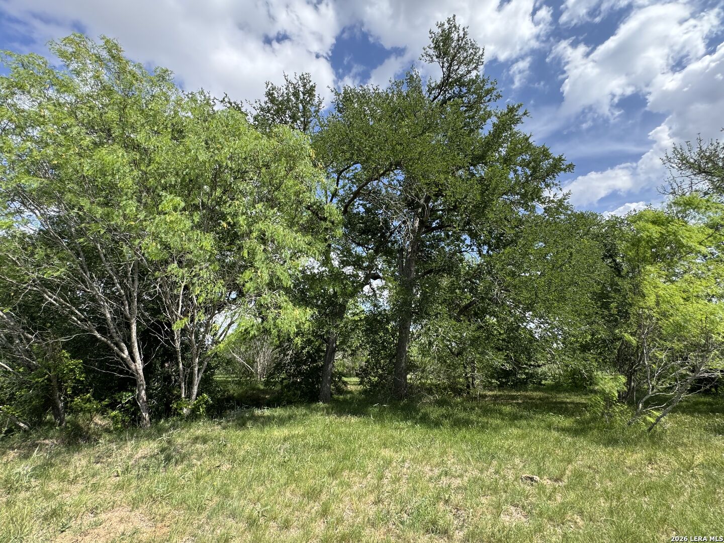 1110 Hartfield Road Seguin TX 78155