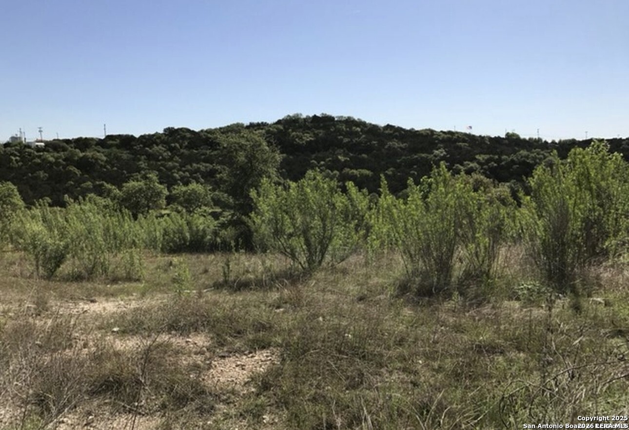 17719 Rancho Diana San Antonio TX 78255