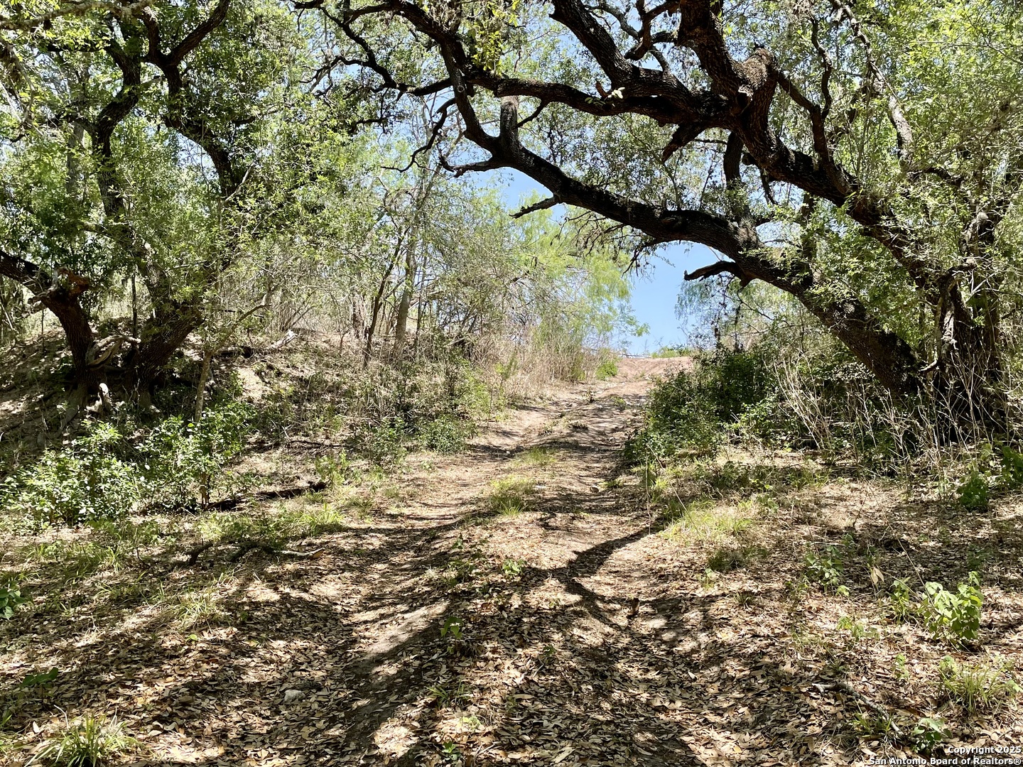 Tract 3 West King Lane Beeville TX 78142