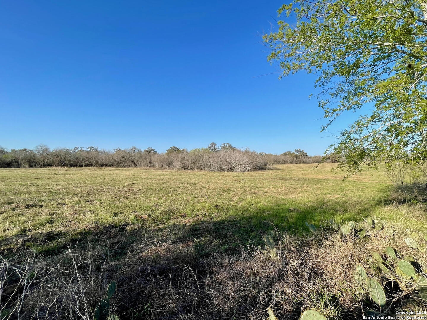 Tract 3 West King Lane Beeville TX 78142