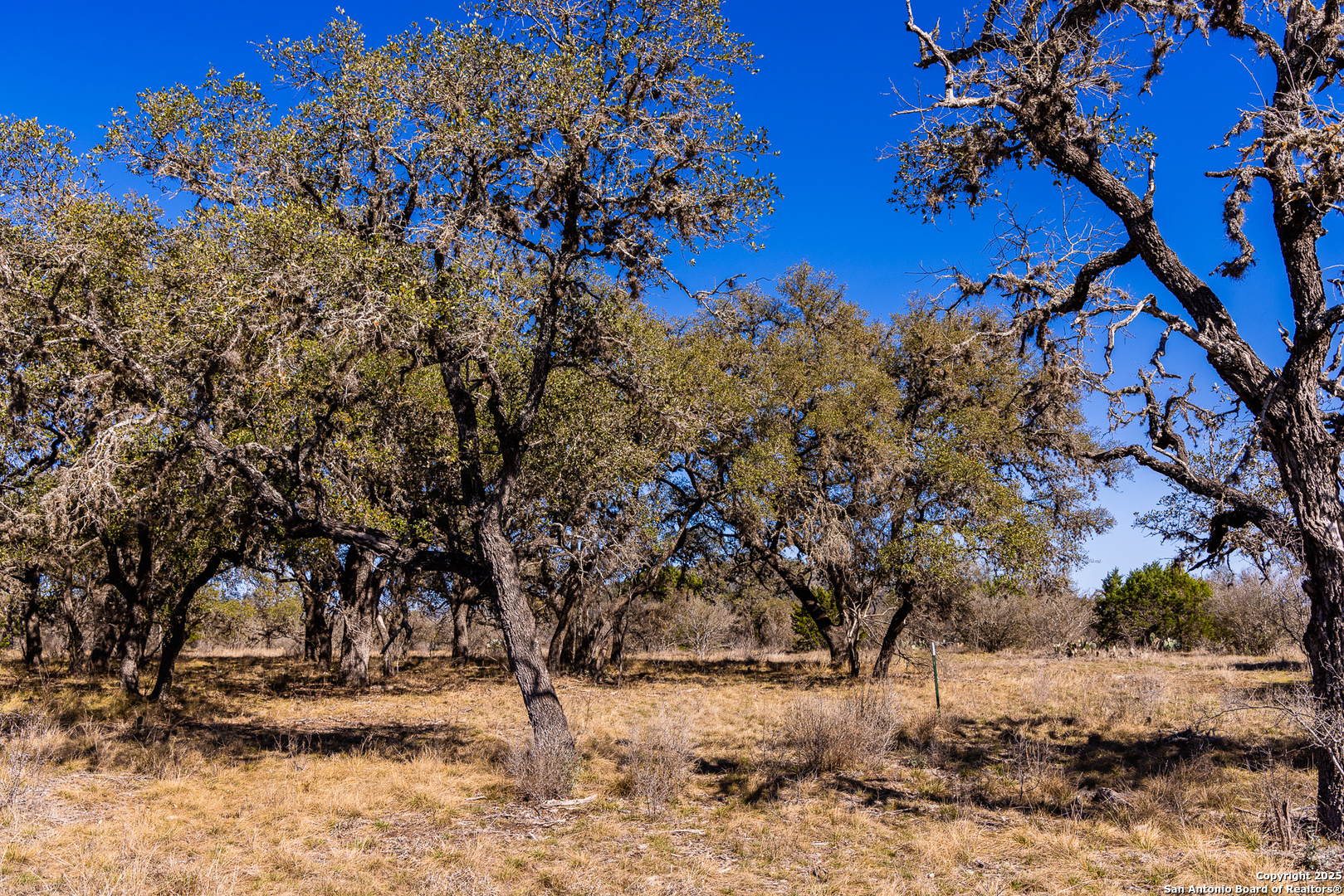 2400 Little Dry Frio Road Rio Frio TX 78879