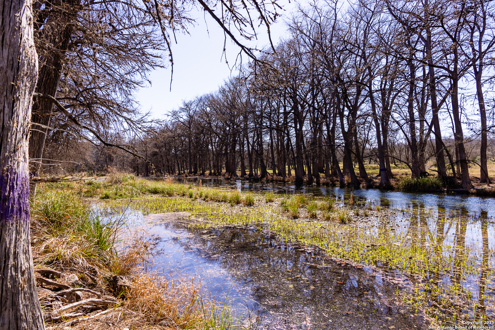 2400 Little Dry Frio Road Rio Frio TX 78879