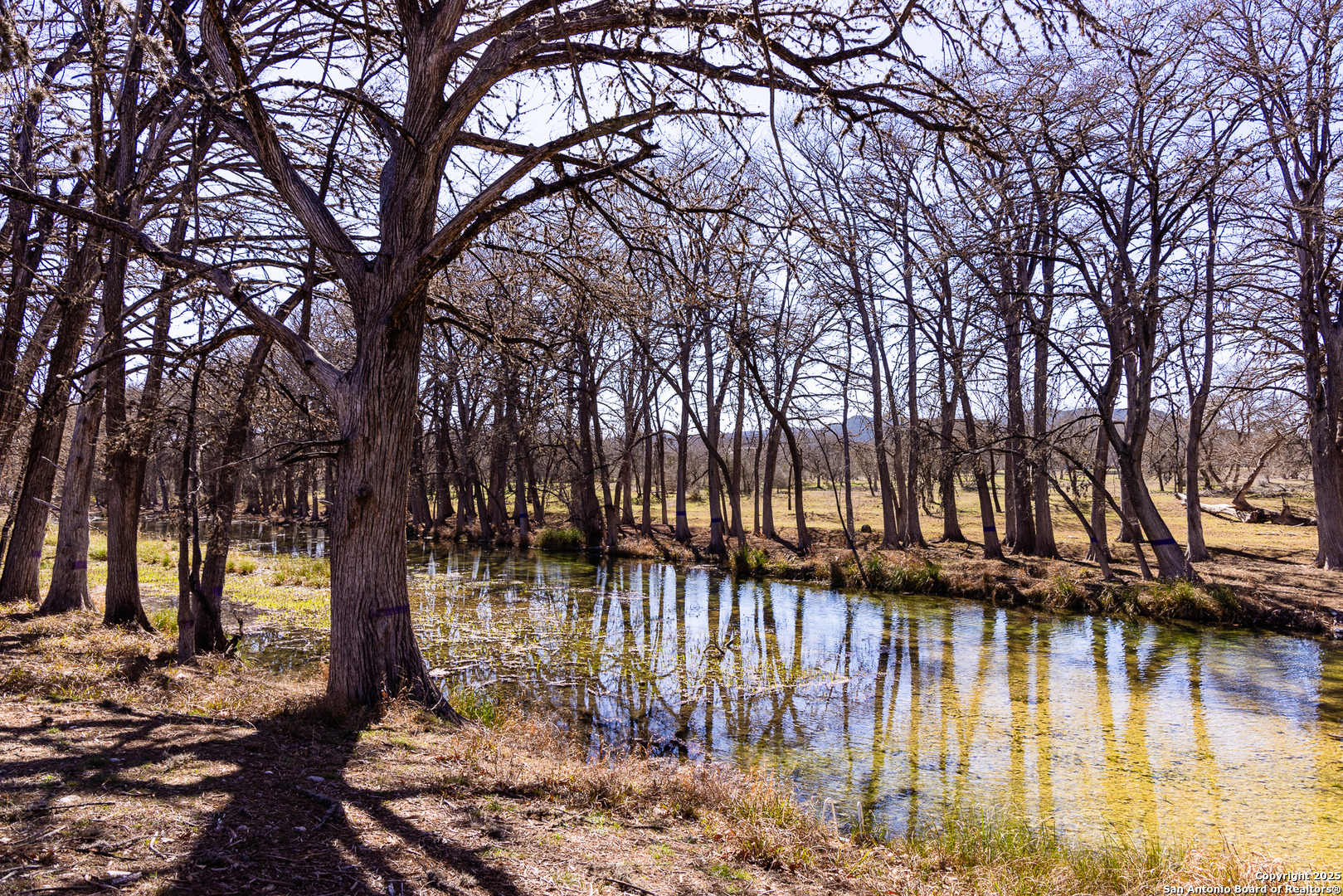 2400 Little Dry Frio Road Rio Frio TX 78879