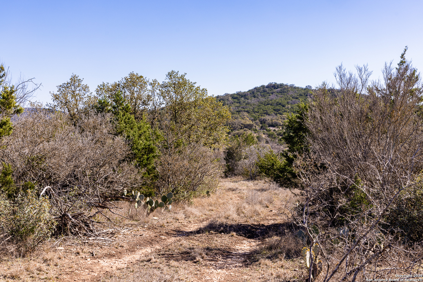 2400 Little Dry Frio Road Rio Frio TX 78879