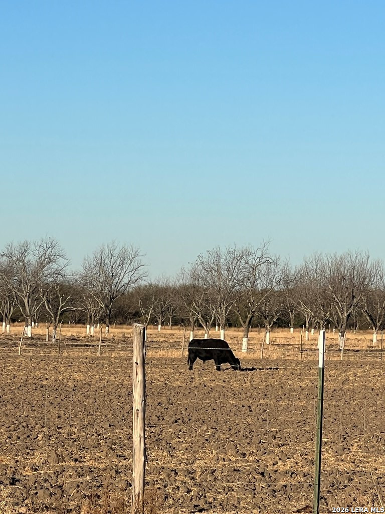Lot D Fm 1908 Quemado TX 78877