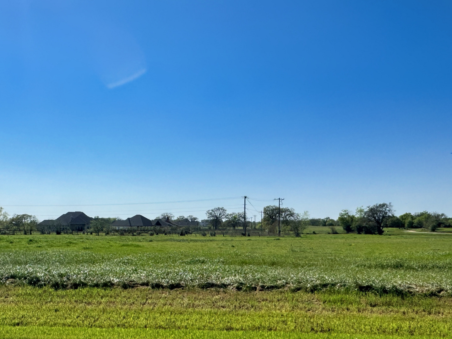 10069 Panther Creek Drive Iola TX 77861
