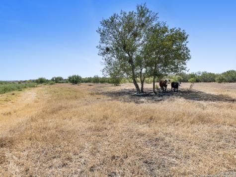 2415 Fm 1518 St Hedwig TX 78152