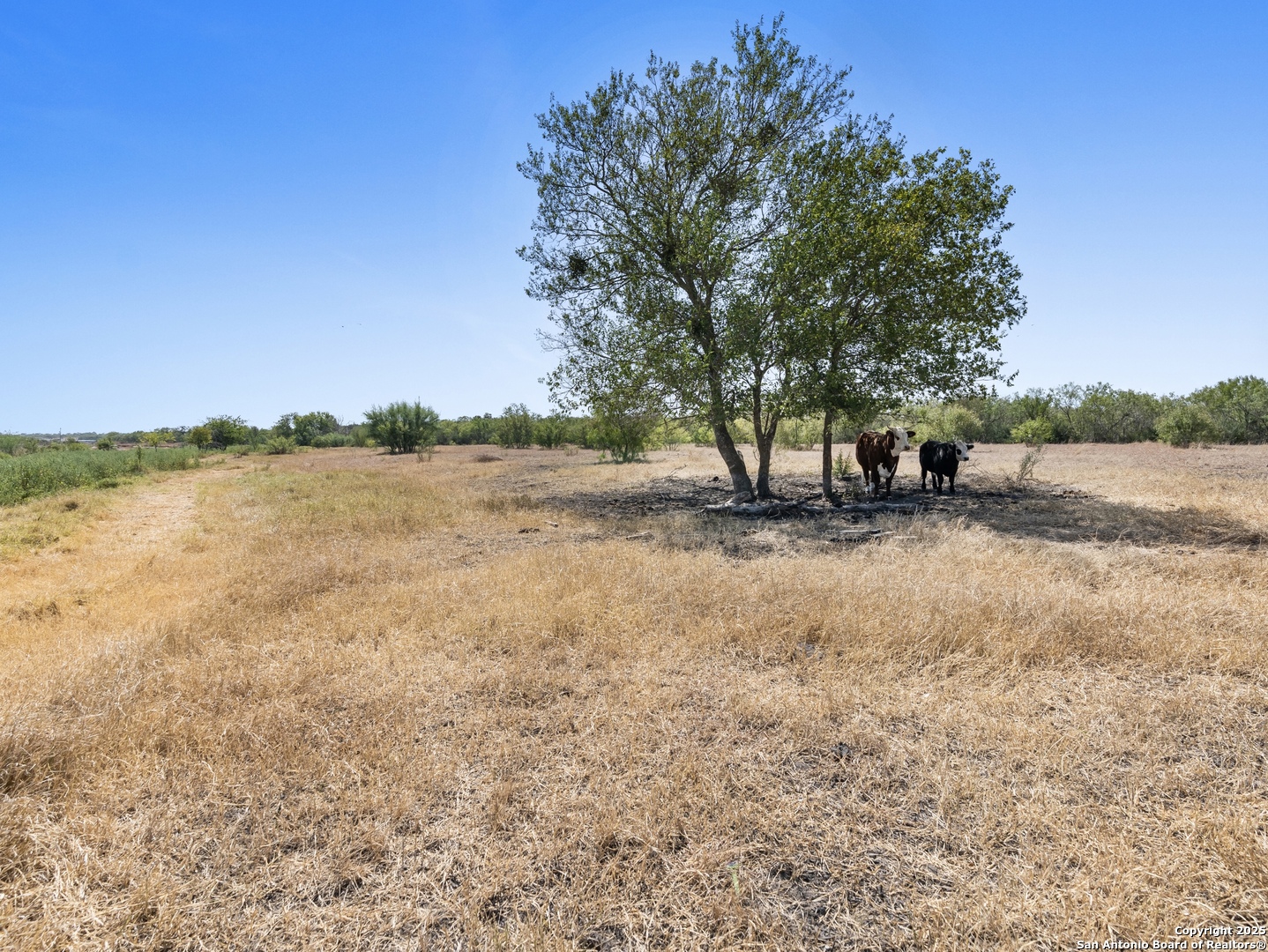 2415 Fm 1518 St Hedwig TX 78152