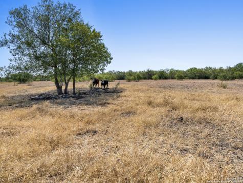 2415 Fm 1518 St Hedwig TX 78152