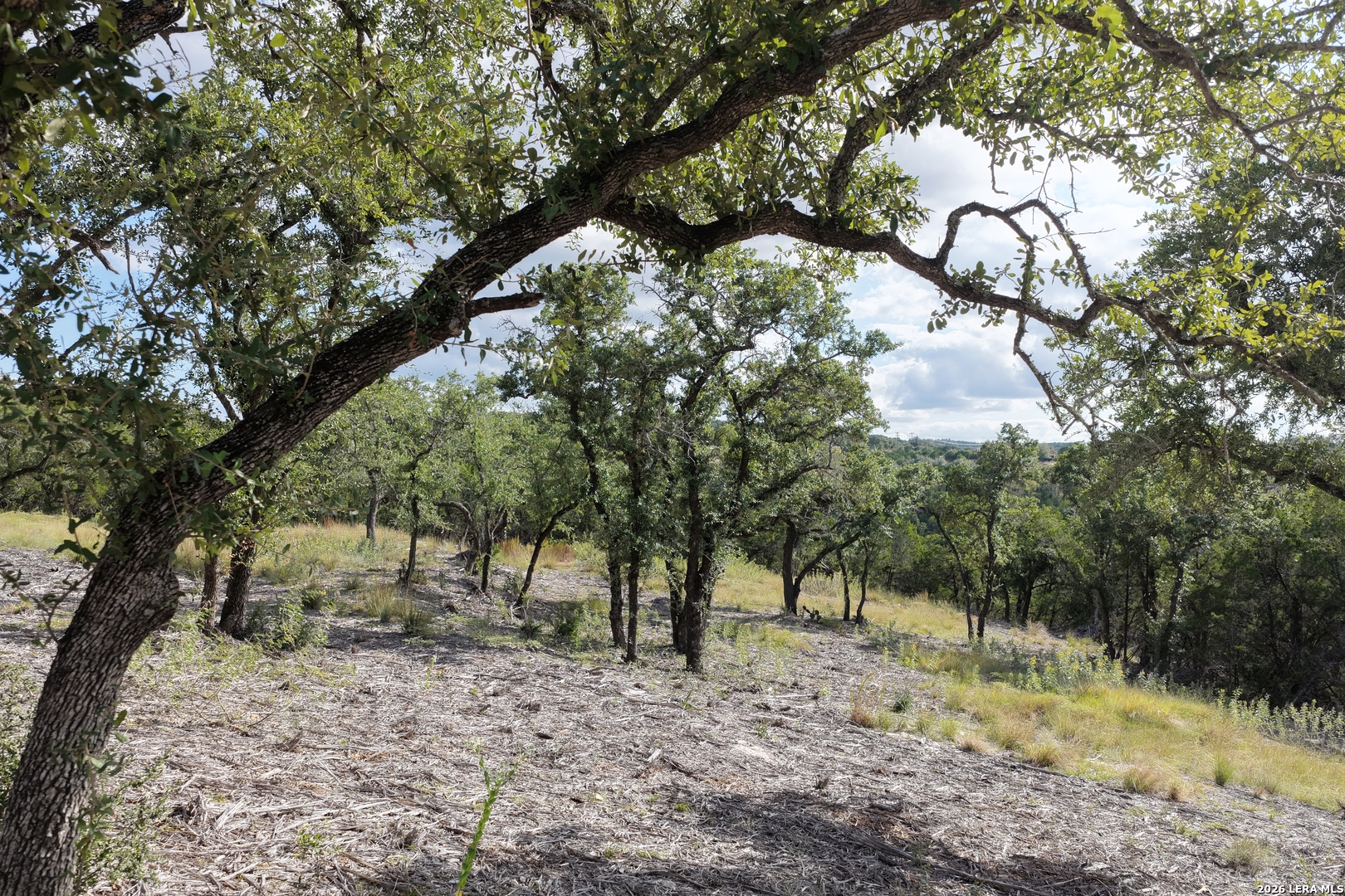 Lot 55 Canyon Terrace Drive Canyon Lake TX 78133