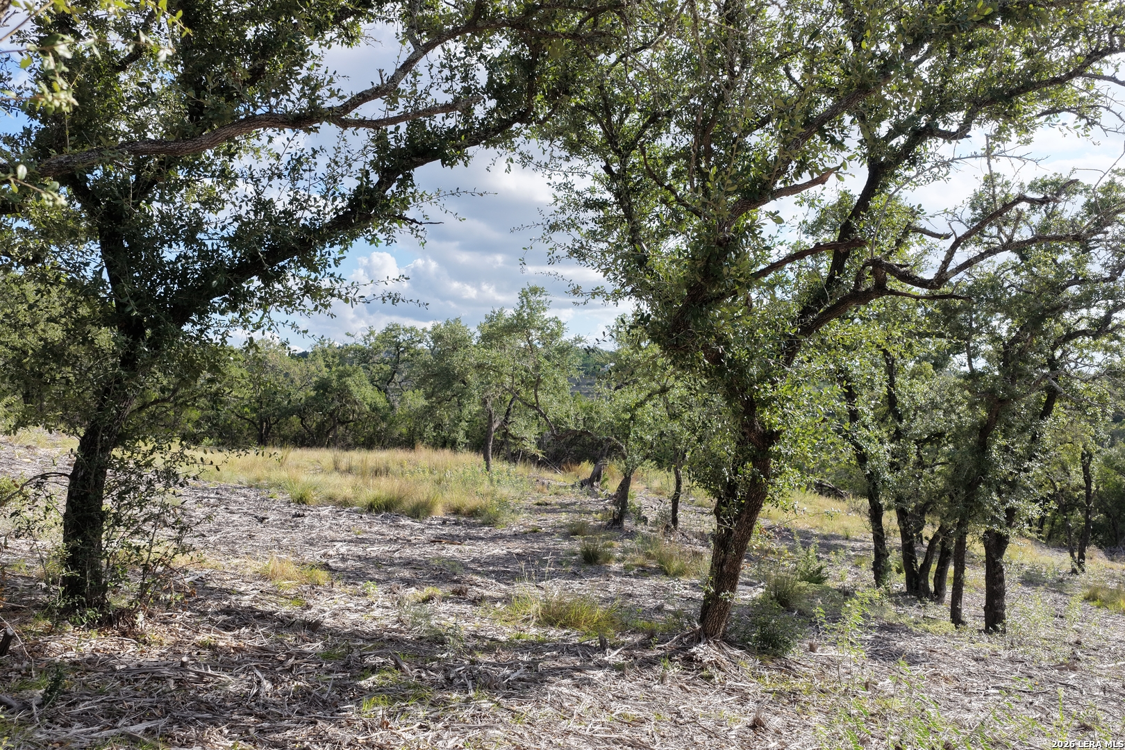 Lot 55 Canyon Terrace Drive Canyon Lake TX 78133