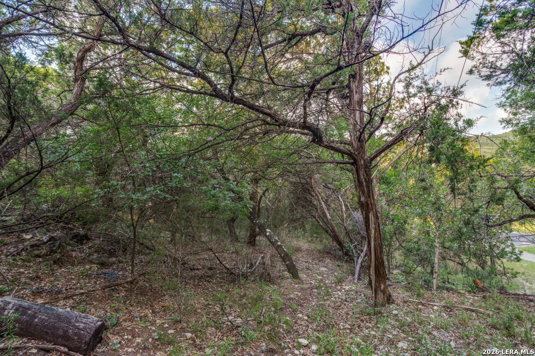19932 Scenic Loop Road Helotes TX 78023
