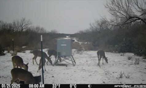 A-735 Franklin Ranch Road Tilden TX 78072