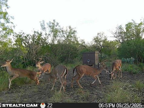 A-735 Franklin Ranch Road Tilden TX 78072