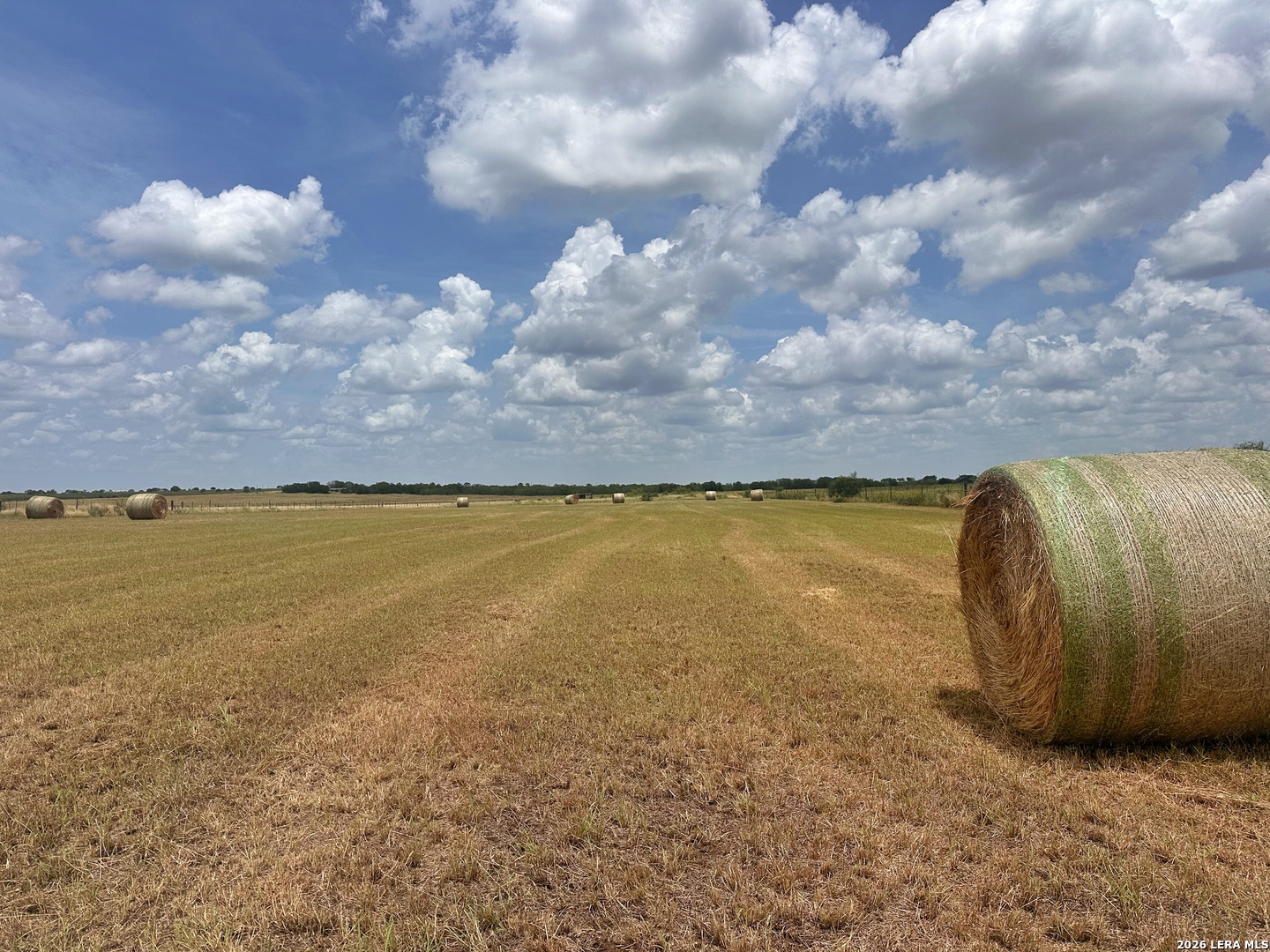 8378 State Highway 97 Gonzales TX 78629