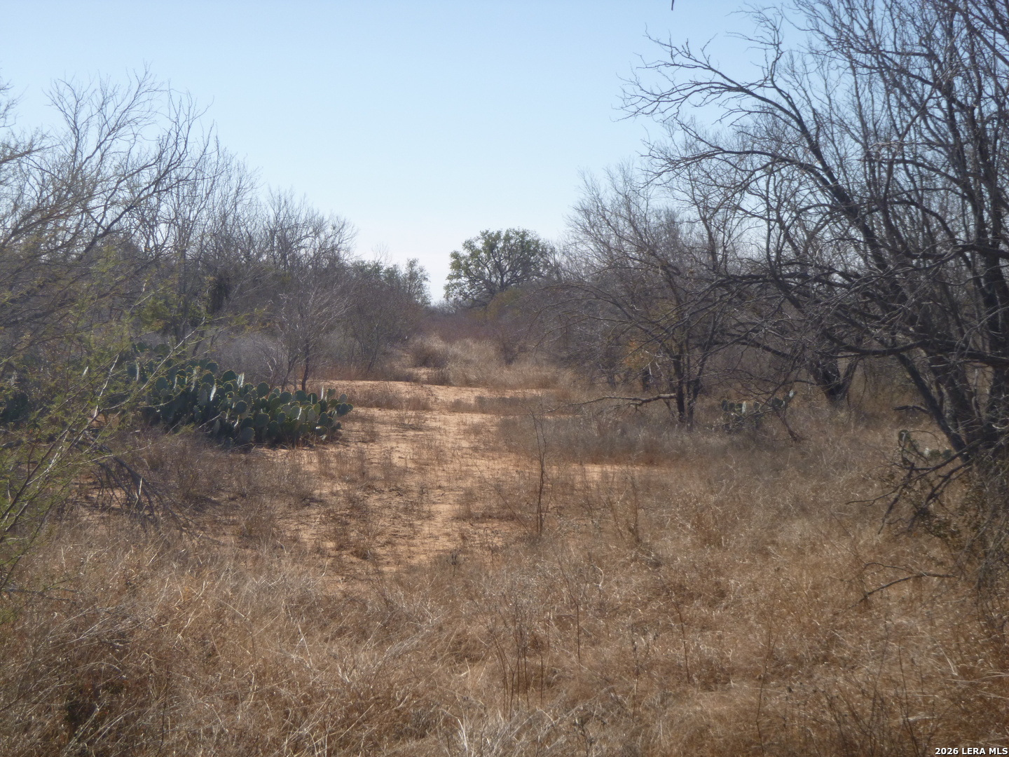 4253 E Fm 462 Moore TX 78057