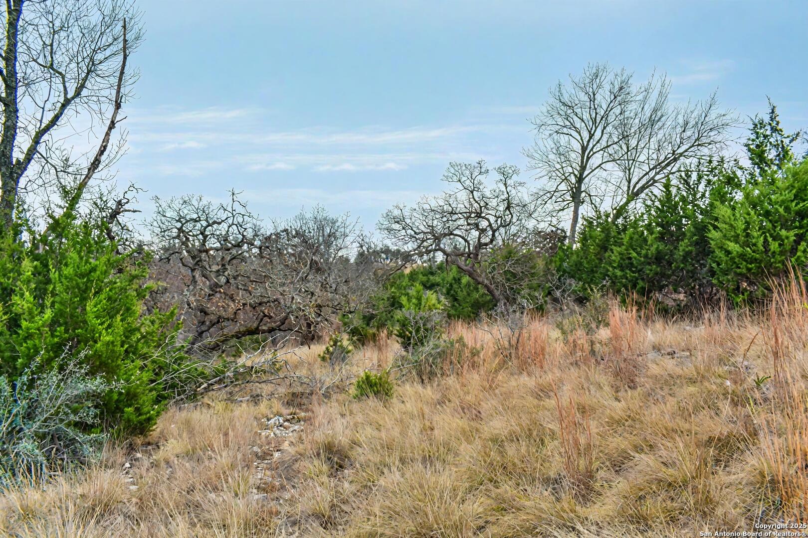 361 N Echo Falls Comfort TX 78013