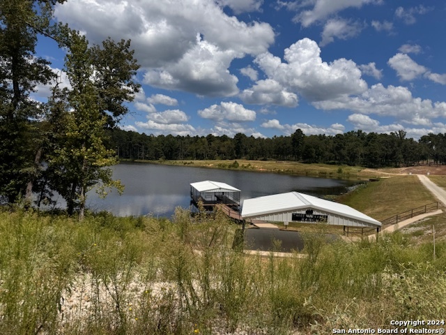 Lot 19 Pr 1313 Centerville TX 75833