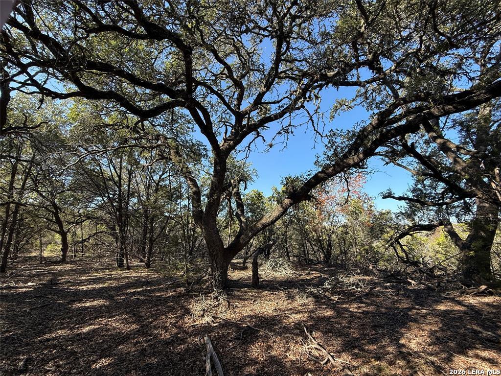221 Ranch House Road Wimberley TX 78676