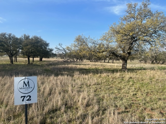 Lot 72 Fallow Drive Harper TX 78631