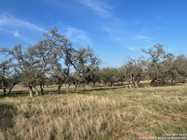 Lot 72 Fallow Drive Harper TX 78631