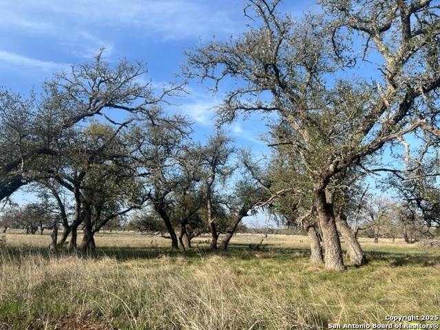 Lot 72 Fallow Drive Harper TX 78631