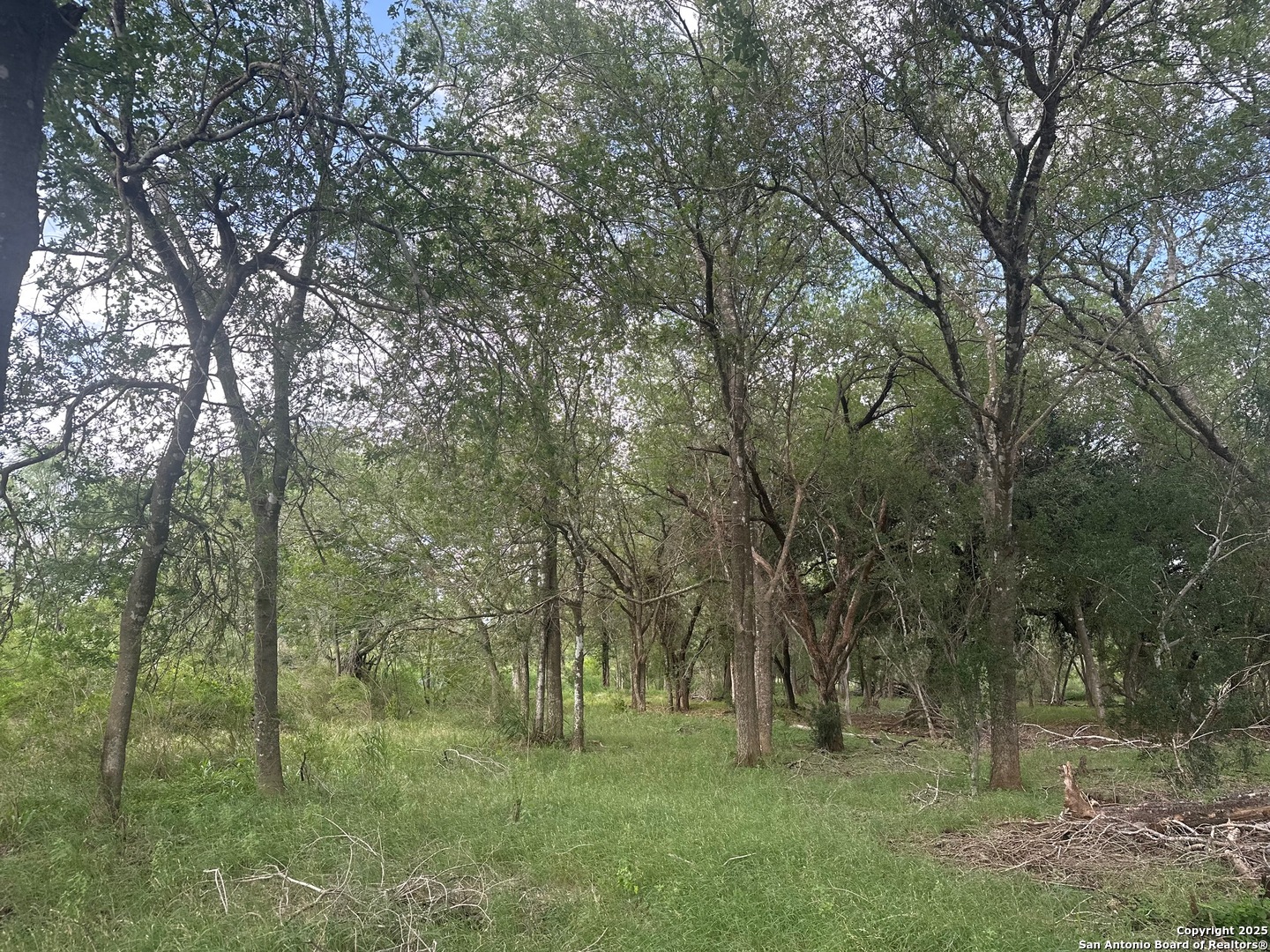 5440 Tabberer Poteet TX 78065