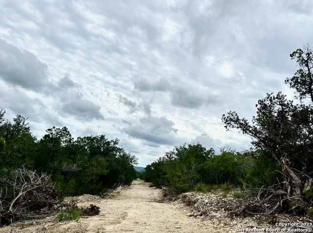 32901 Tx Highway 55 Camp Wood TX 78801