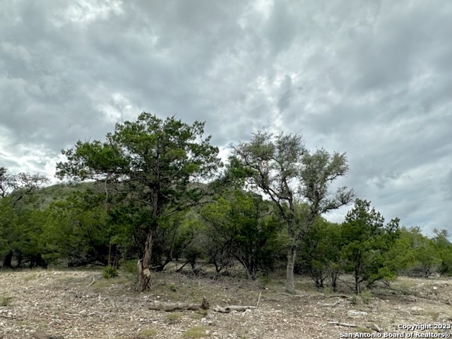 32901 Tx Highway 55 Camp Wood TX 78801