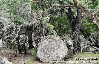 32901 Tx Highway 55 Camp Wood TX 78801