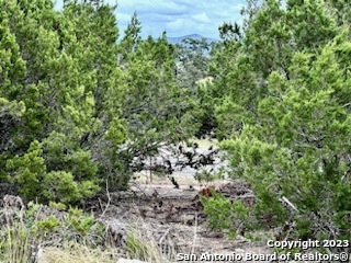 32901 Tx Highway 55 Camp Wood TX 78801