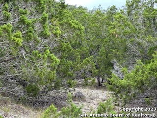 32901 Tx Highway 55 Camp Wood TX 78801