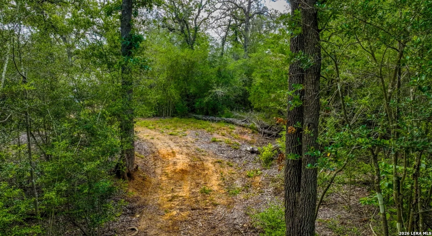 000 Cr 438 Harwood TX 78632