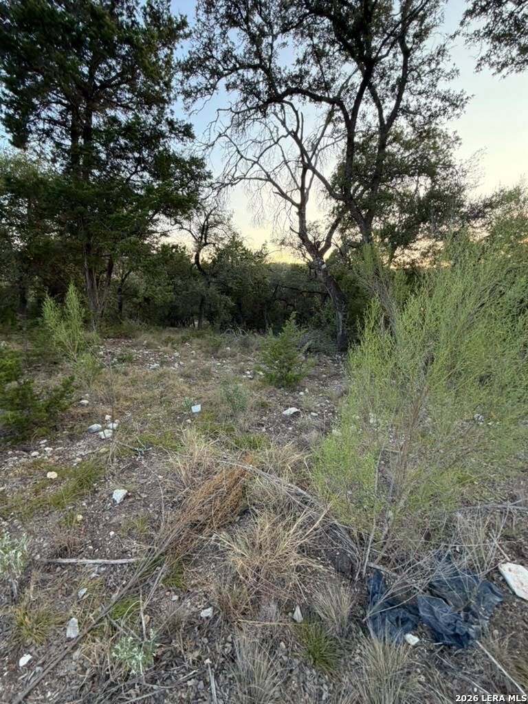 8739 San Fidel Way San Antonio TX 78255