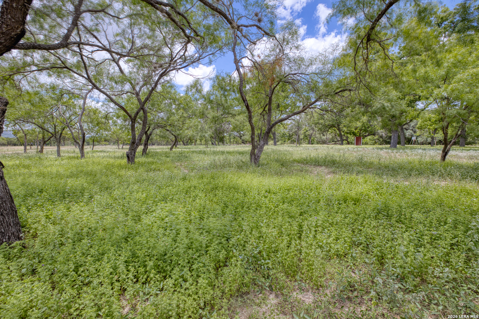 00 Cr 393 Camp Wood TX 78833
