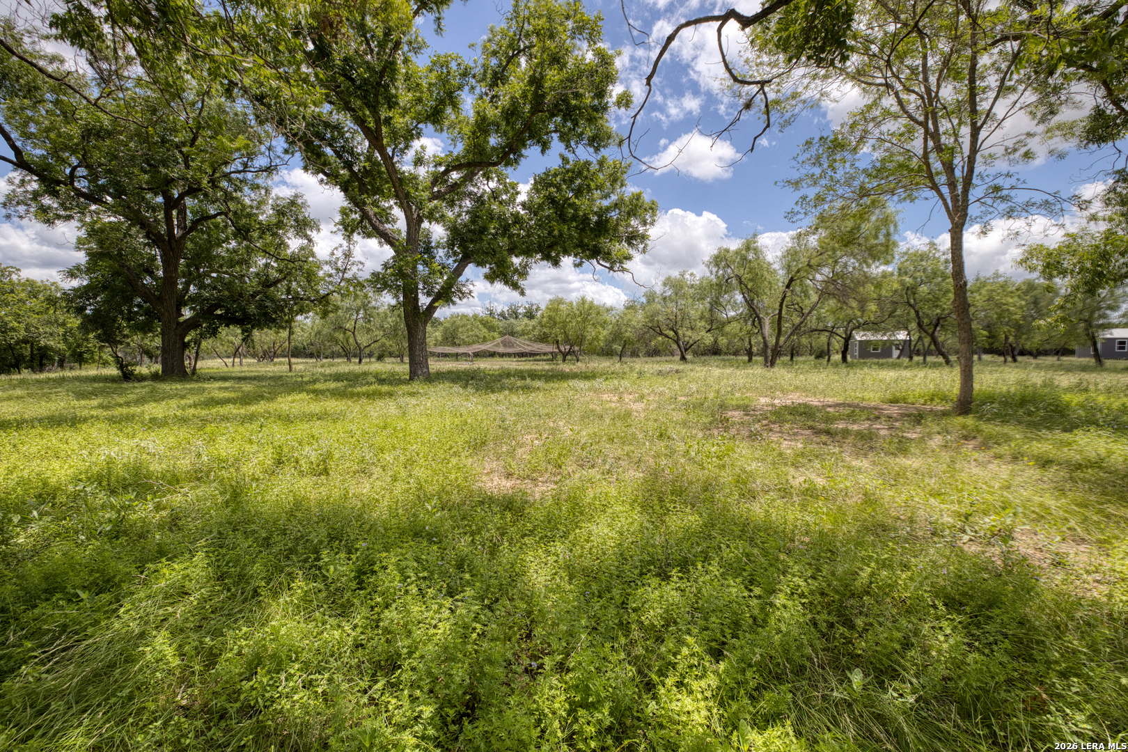 00 Cr 393 Camp Wood TX 78833