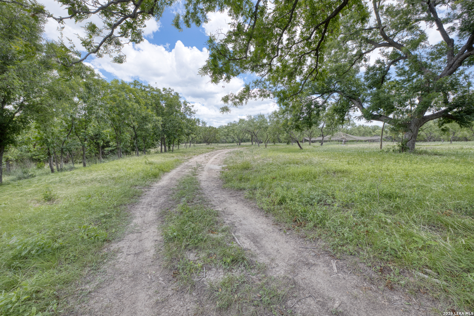 00 Cr 393 Camp Wood TX 78833
