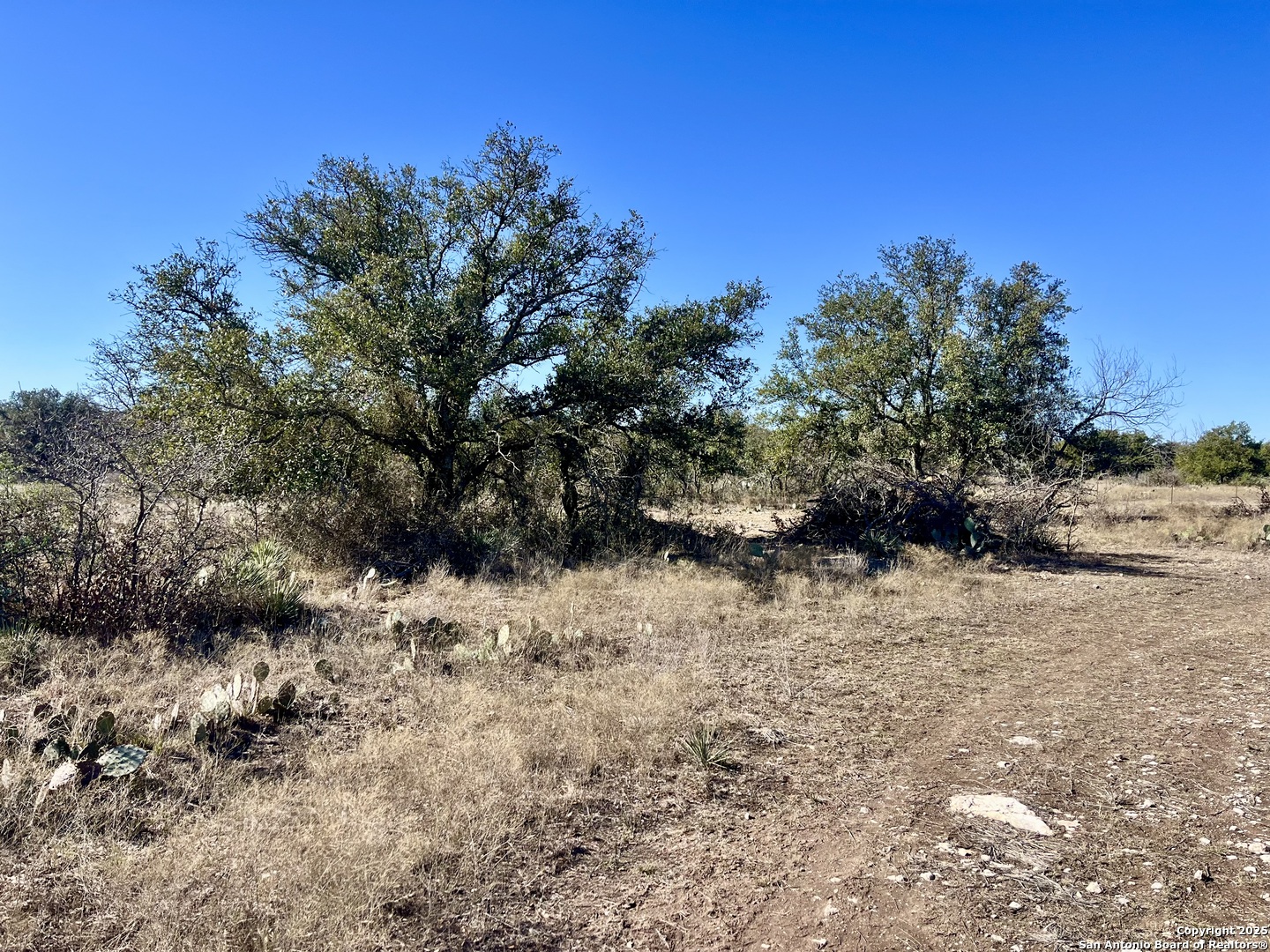 200 Axis Spur Brady TX 76825
