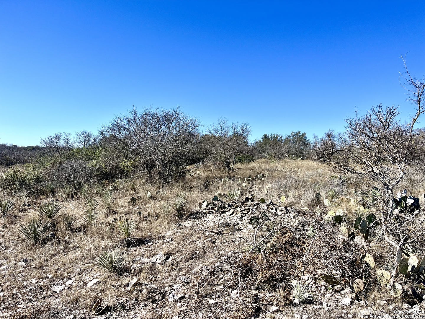 200 Axis Spur Brady TX 76825