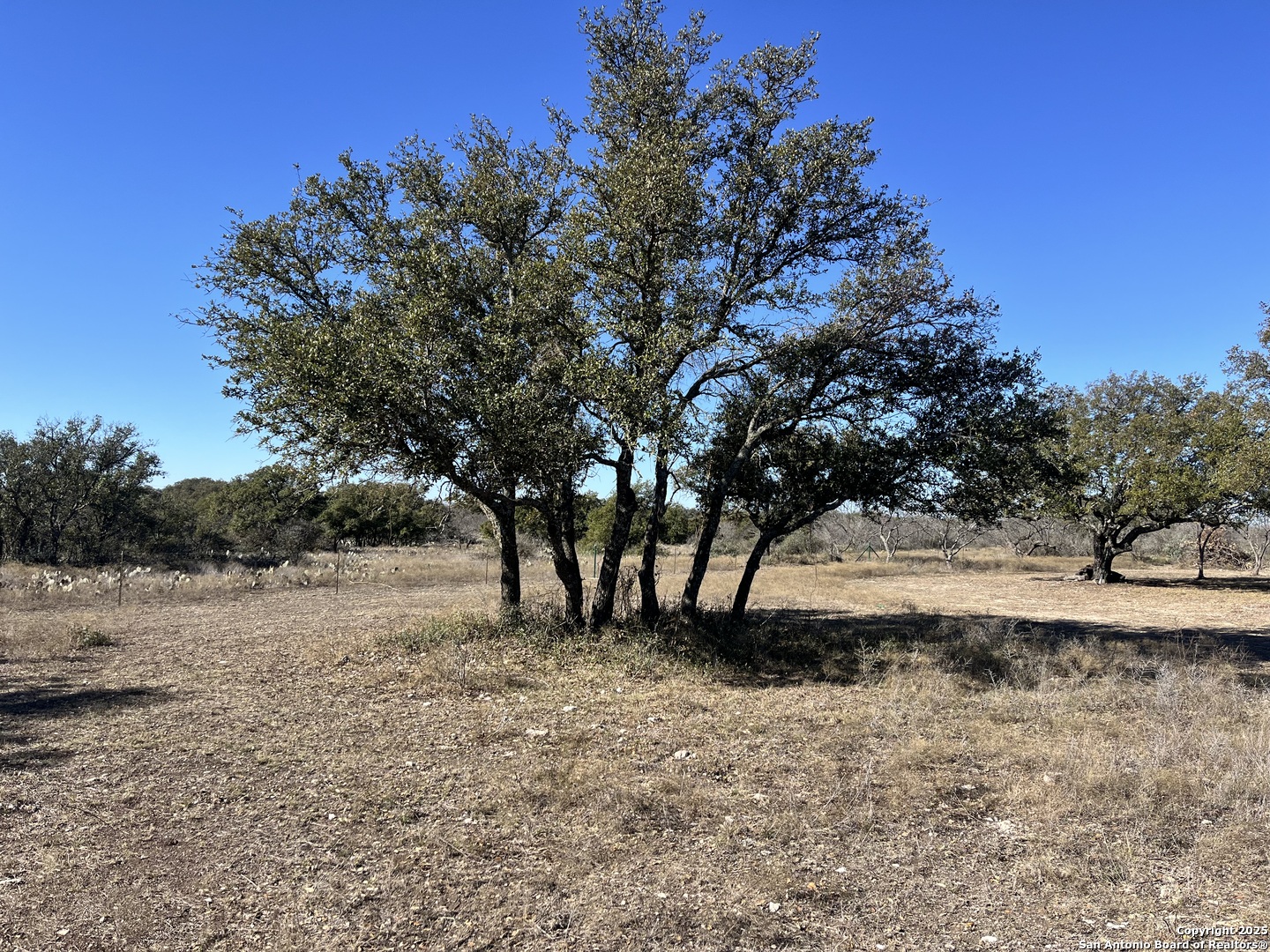 200 Axis Spur Brady TX 76825