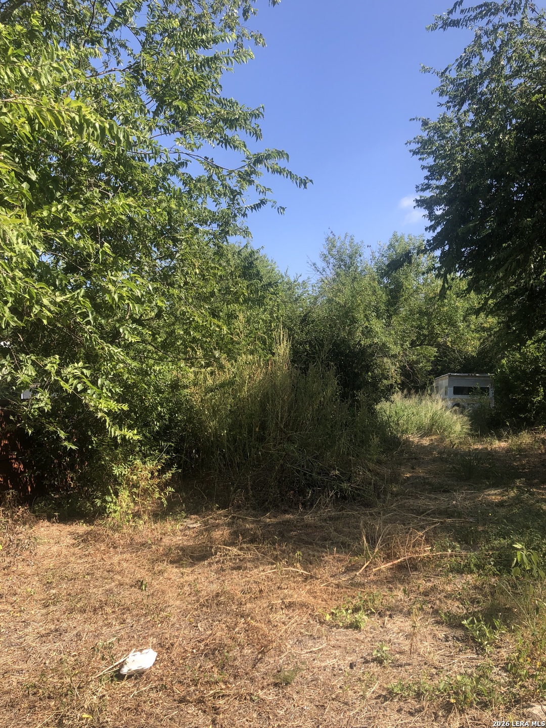 111 Hillrose San Antonio TX 78207