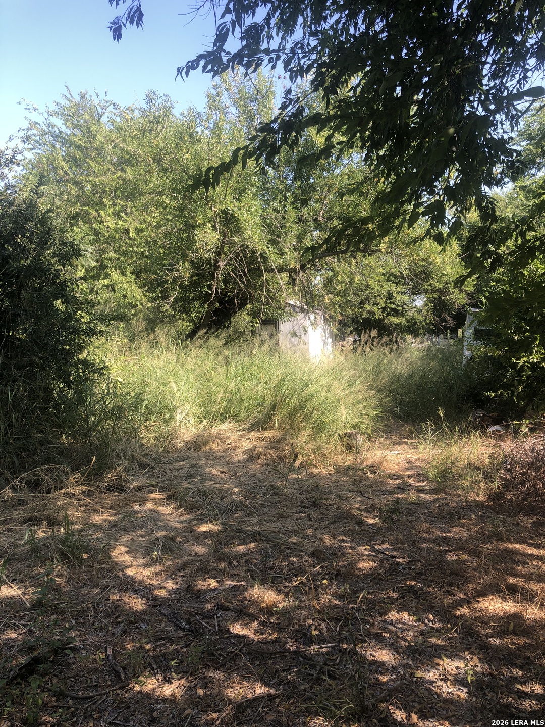 111 Hillrose San Antonio TX 78207