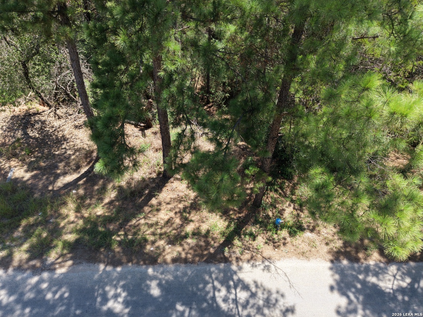127 & 133 Lamaloa Lane Bastrop TX 78602