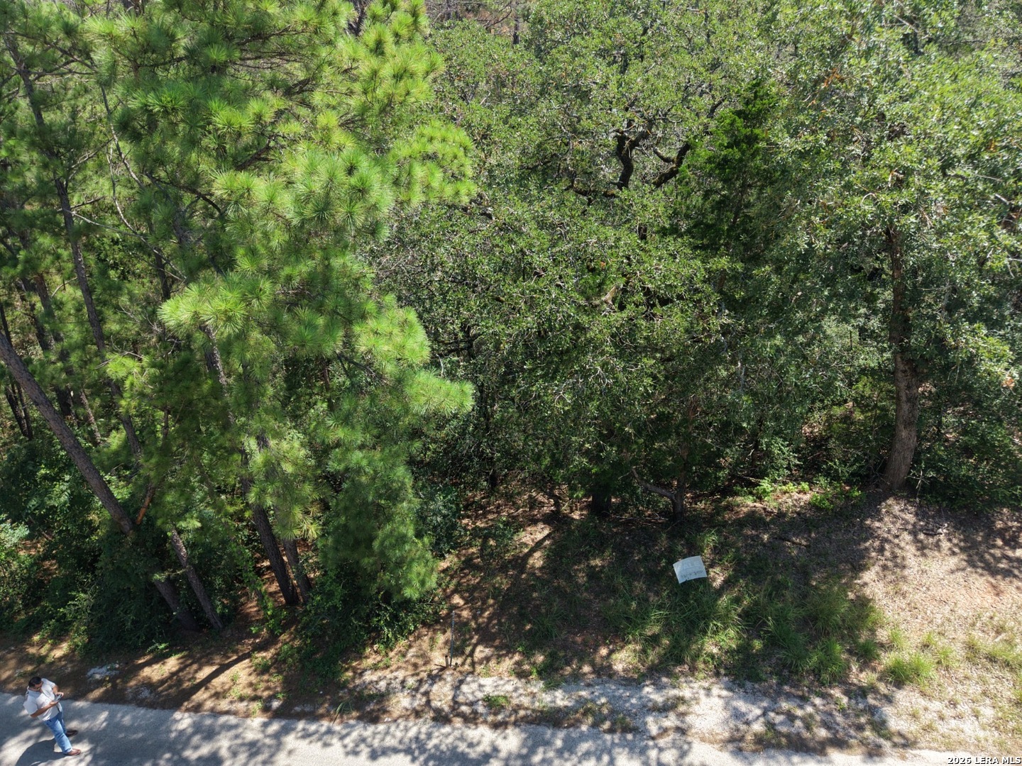 127 & 133 Lamaloa Lane Bastrop TX 78602